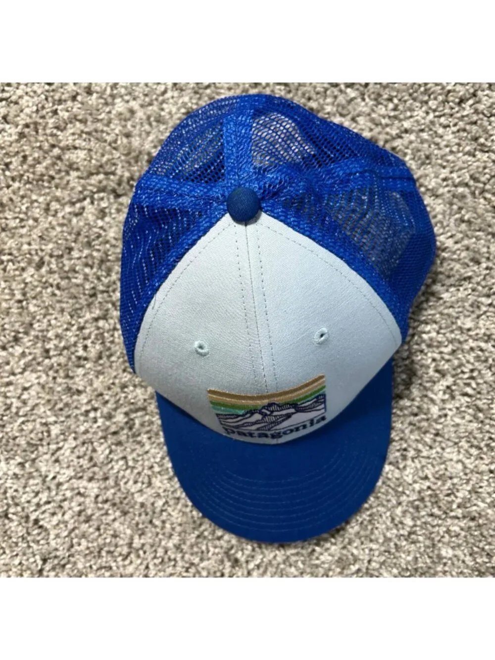Patagonia Blue Line Logo Ridge LoPro Trucker Hat Mountain Logo Design Mesh Back